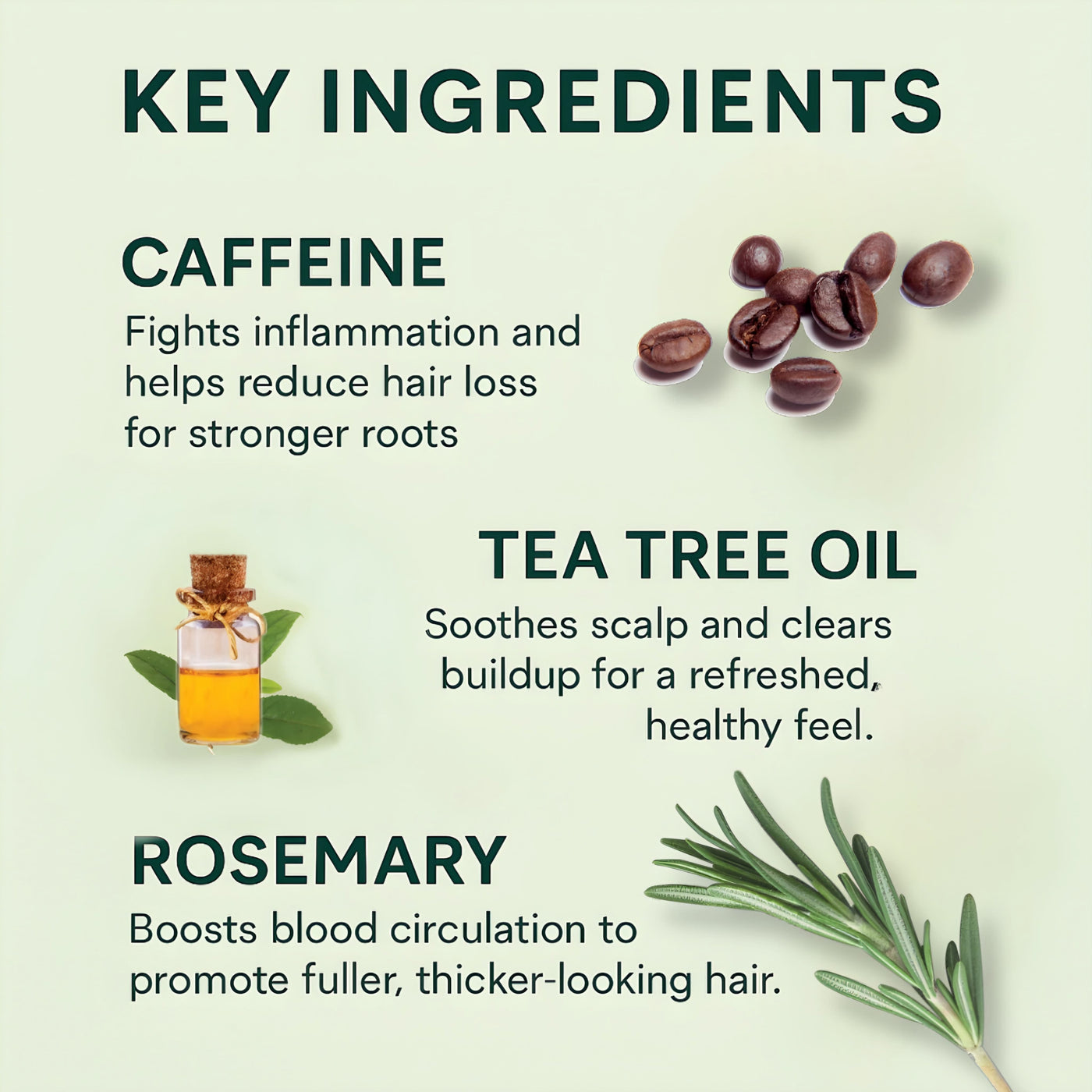 GLOW-AYN Scalp Serum